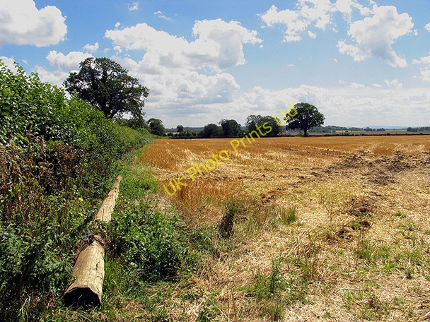 Photo 6"x4" Farmland at Bothampstead Bothampstead c2005