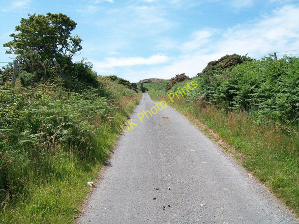 Photo 6"x4" The road uphill from Llanfihangal Farm Garnfadryn c2010