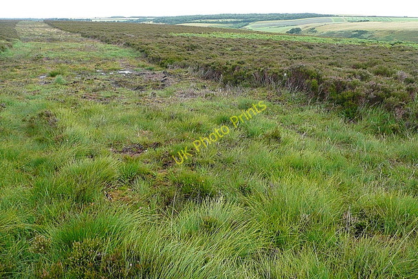 Photo 6"x4" Mill Hill Oareford c2010