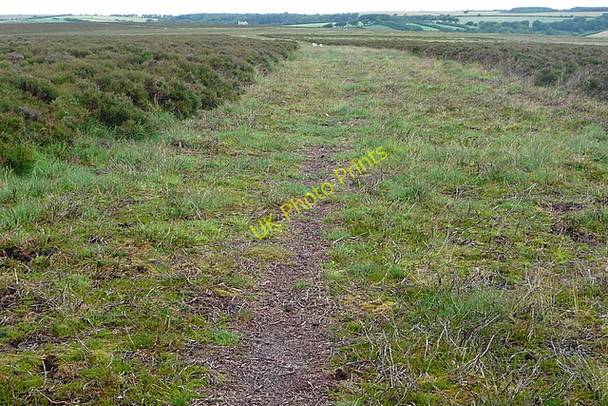 Photo 6"x4" Mill Hill Oareford c2010