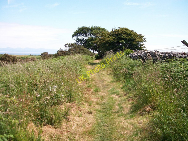 Photo 6"x4" The Llanbedrog path Llanbedrog c2010