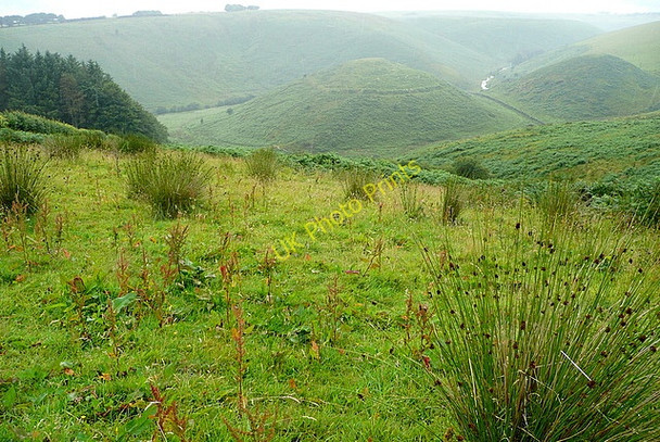 Photo 6"x4" Above Cow Castle Simonsbath c2010