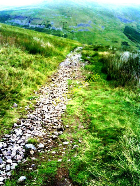 Photo 6"x4" Track towards Barbondale Barbon c2010