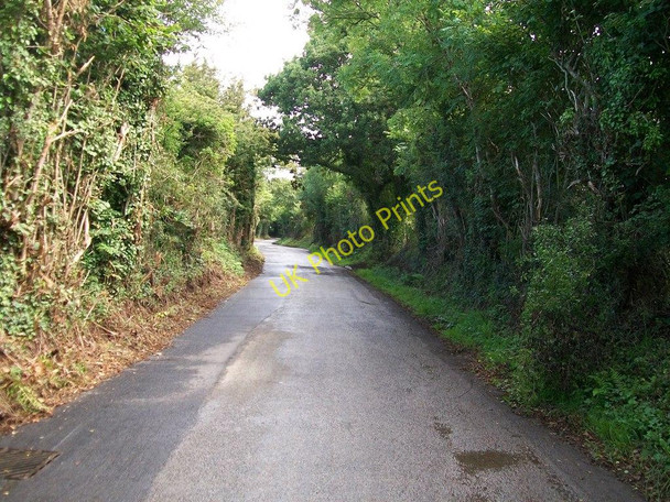 Photo 6"x4" Lon Pin south of Wern Fawr Farm Rhyd-y-clafdy c2010