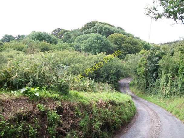 Photo 6"x4" Ty-isaf road at the northern end of Coed Tyddyn woodlands Rhyd-y-clafdy c2010