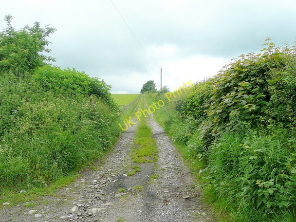 Photo 6"x4" Track above Rhydspence 2 Rhydspence c2010