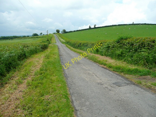 Photo 6"x4" Road to Rhydspence Brilley c2010