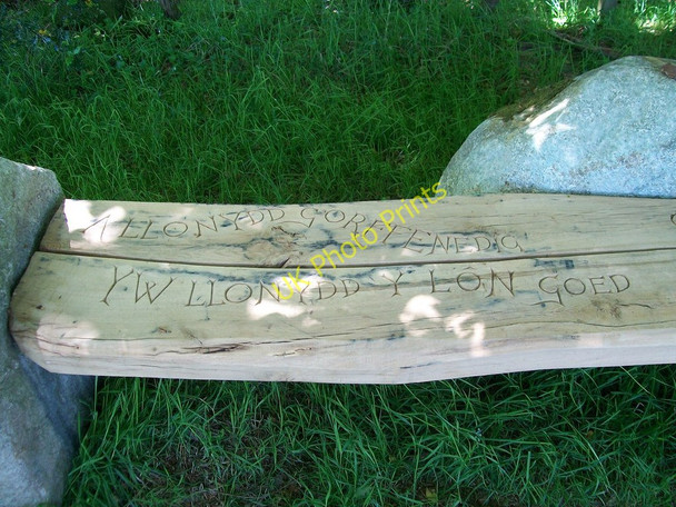 Photo 6"x4" Carved seat on Y Lon Goed Llecheiddior\/SH4743 c2010