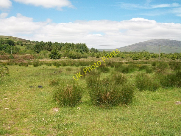 Photo 6"x4" View across wetland towards the Cennin Forest Llecheiddior\/SH4743 c2010