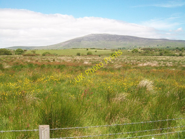 Photo 6"x4" Unimproved rough pasture on the north side of the road Llecheiddior\/SH4743 c2010