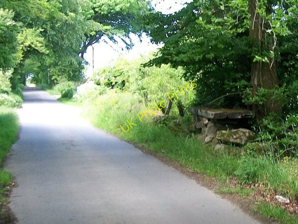 Photo 6"x4" A long disused churn stand near the entrance to Gaerwen farm Rhosgyll c2010