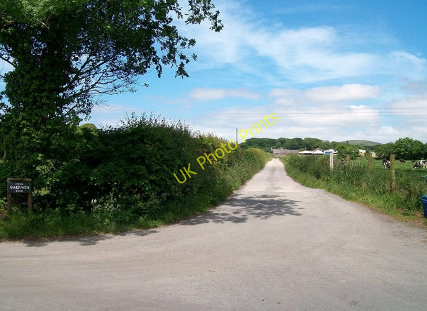 Photo 6"x4" The entrance to the Gaerwen farm road Rhosgyll c2010