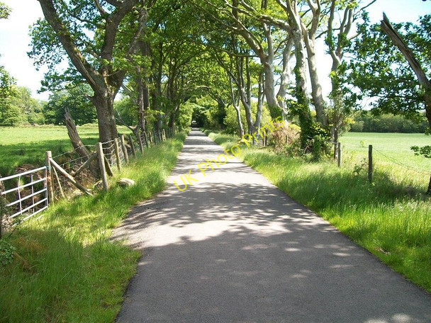 Photo 6"x4" The unusually straight Ynys Road Rhosgyll c2010