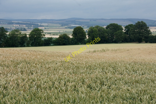 Photo 6"x4" Wheatfield, Balbrogie, near Coupar Angus Coupar Angus c2010