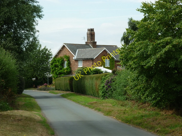 Photo 6"x4" Dancing Lane, Swine Swine c2010