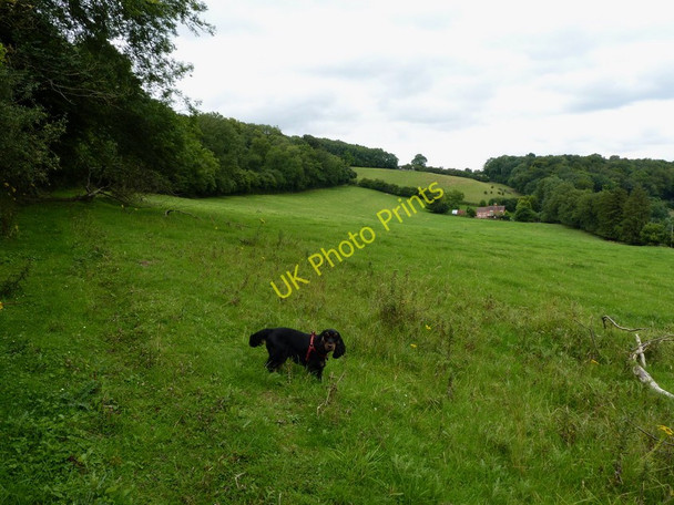 Photo 6"x4" Farmland by Farley Quarry Much Wenlock c2010