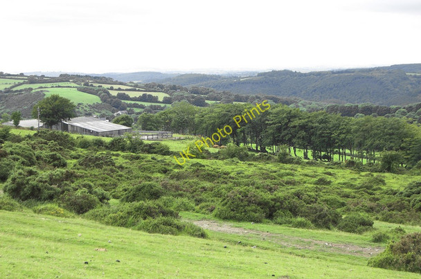 Photo 6"x4" Henscott Farm Kingsett c2010