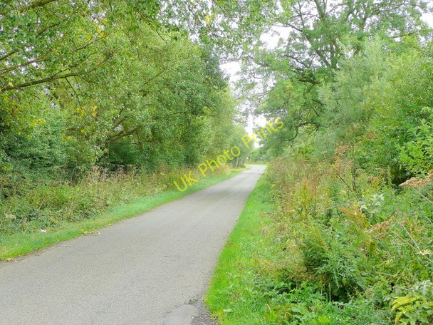 Photo 6"x4" Willowpit Lane Burntheath c2010