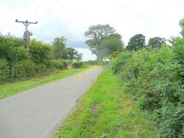 Photo 6"x4" Willowpit Lane Burntheath c2010