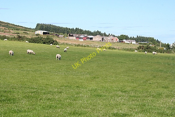 Photo 6"x4" North Hillside or Hill of Durn Brodiesord c2010