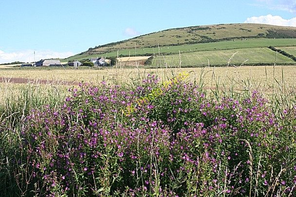 Photo 6"x4" Highfield and Durn Hill Portsoy c2010
