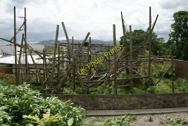 Photo 6"x4" Budongo Trail, Edinburgh Zoo Murrayfield\/NT2173 c2010