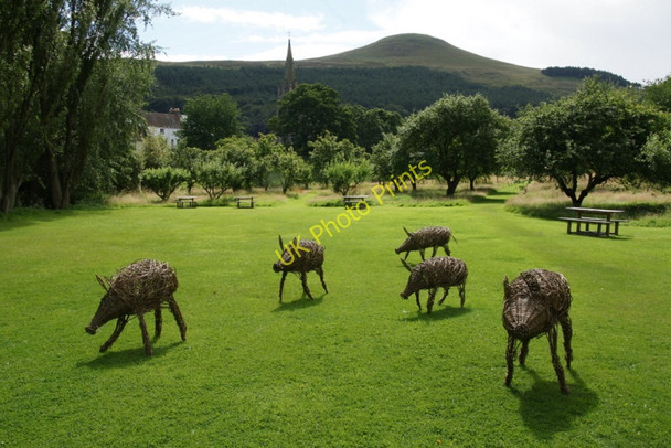 Photo 6"x4" Wicker boars in the orchard of Falkland Palace Falkland c2010