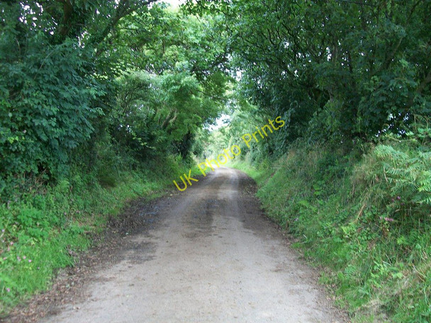 Photo 6"x4" The tree-lined no-through road leading to Llandudwen Dinas\/SH2636 c2010