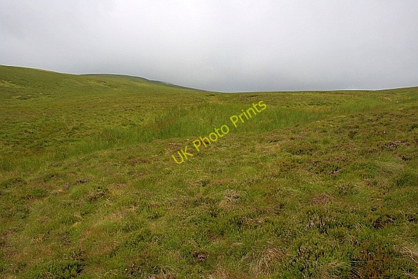 Photo 6"x4" Miller Moss Fell Side\/NY3037 c2010