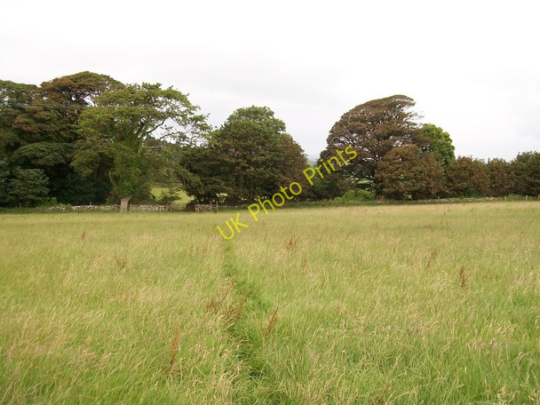 Photo 6"x4" Footpath through the meadow above Lon Madryn Dinas\/SH2636 c2010