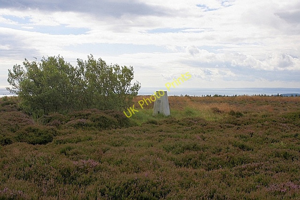 Photo 6"x4" Trig. Point, Ravenscar Hill Ravenscar c2010