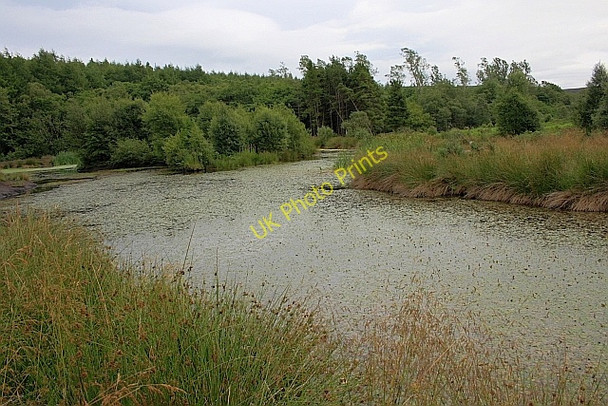 Photo 6"x4" Pond, near Jugger Howe Beck Burn Howe c2010