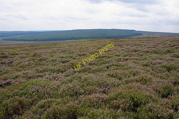Photo 6"x4" Fylingdales Moor Lilla Howe c2010 P1