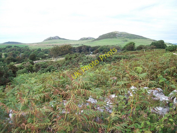 Photo 6"x4" View across wasteland towards the Carneddol-Garn Saethon ridge Penbodlas c2010