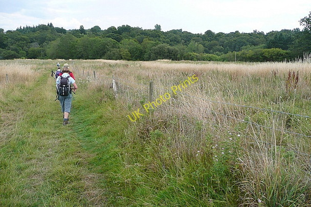 Photo 6"x4" Bridleway to Eel Bridge River\/SU9322 c2010