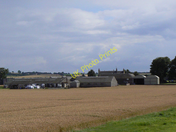 Photo 6"x4" Easter Lathrisk Ladybank\/NO3009 c2010