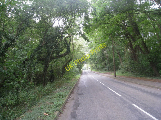 Photo 6"x4" Brumby Wood Lane Scunthorpe c2010