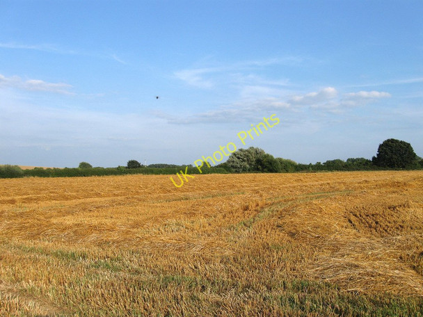 Photo 6"x4" The Compt Selmeston c2010