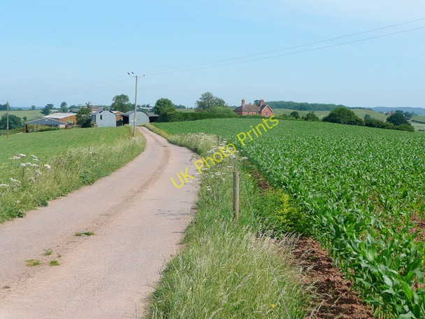 Photo 6"x4" Farm road and footpath Kempley c2010