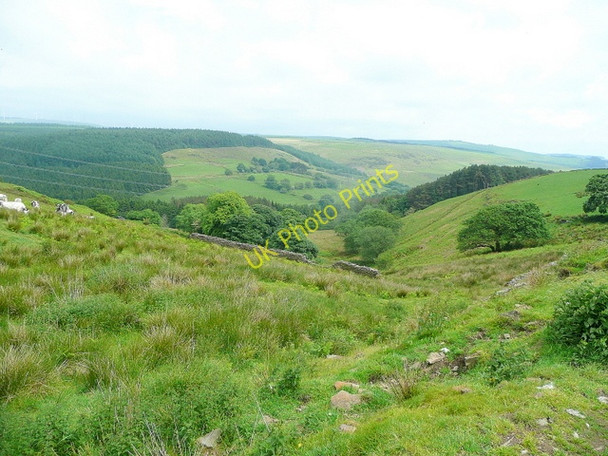 Photo 6"x4" The Neath Valley trench Aberdulais c2010