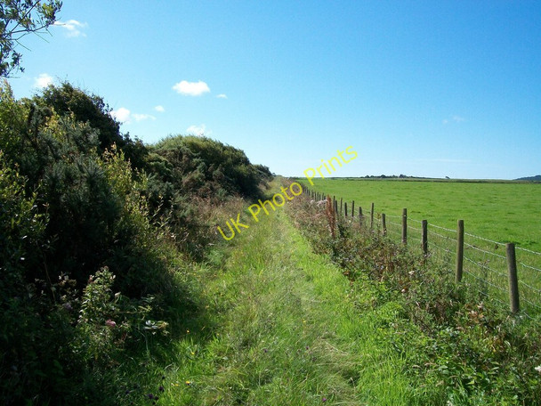Photo 6"x4" Green lane south towards Bryn Odol Rhos-y-llan c2010