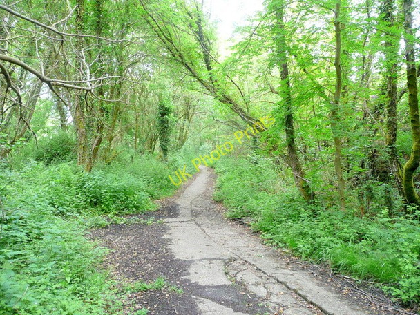 Photo 6"x4" Path to Aber-pergwm Wood Glyn-neath c2010