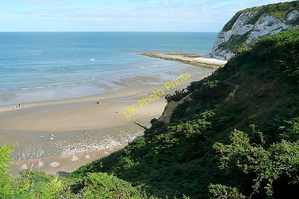 Photo 6"x4" Above Whitecliff Bay Hillway c2010