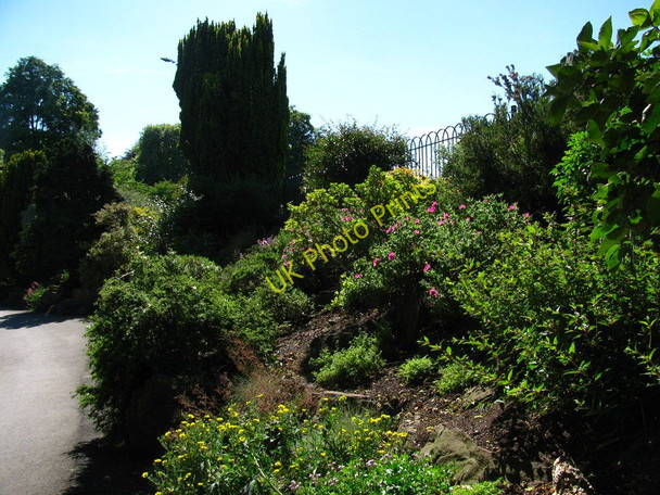 Photo 6"x4" Belle Vue Rockery Newport\/Casnewydd c2010