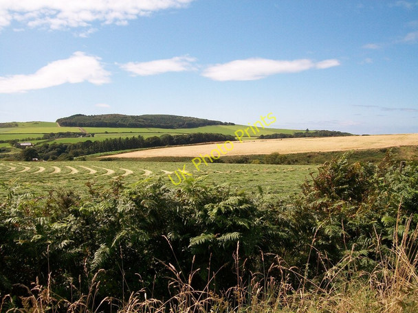 Photo 6"x4" Croplands in the Soch valley Bryn-mawr\/SH2433 c2010
