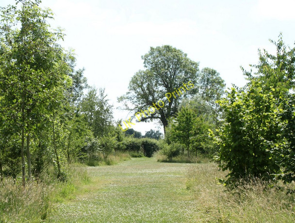 Photo 6"x4" 2010 : Permissive path and woodland, Poulshot Poulshot c2010