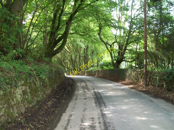 Photo 6"x4" The Penllech road passing through Coed y Gromlech woodland Penllech\/SH2234 c2010