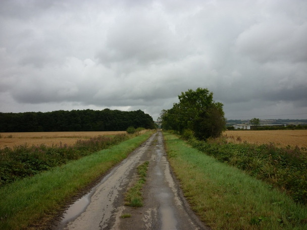Photo 6"x4" Carr Lane towards the cement works Horkstow c2010