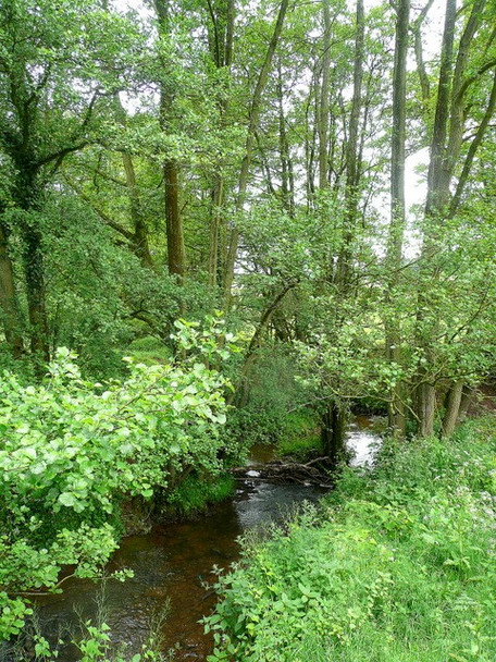 Photo 6"x4" The Garren Brook St Weonards c2010