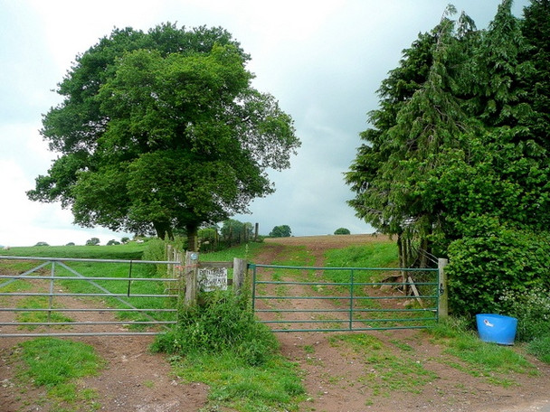 Photo 6"x4" Double gates Garway Hill c2010